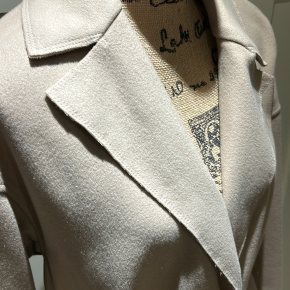 Aritzia Babaton camel coloured coat. Belt, waste snap. Wool blend coat, size L. - Picture 2 of 11